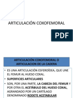 Articulación Coxofemoral