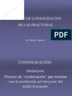 Biologia de La Consolidacion Osea