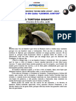 (La Tortuga Gigante) Ii Semana