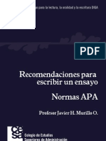 Recomendaciones para Escribir Un Ensayo Normas APA