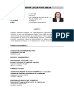 Curriculum Vitae - Cynthia Lucia Pisfil Mejía