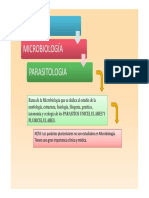 Teórico Protozoos Generalidades Farmacia