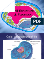 Cell and Transport