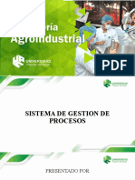 SISTEMA DE GESTION DE PROCEOS (Autoguardado)