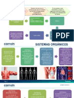 El Proceso de Envejecimiento