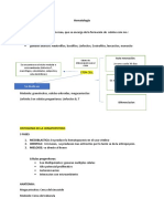 Hematología 2