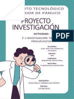 P1 Investigación Tipos de Presupuestos