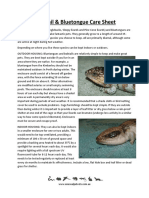 Bobtail and Bluetongue Care Sheet