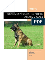 UF2735 Capt 1 ORÍGEN y RAZAS