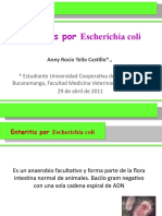 Enteritis Por Escherichia Coli