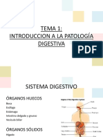 1 Introduccion A La Patologia Digestiva