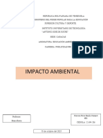 Trabajo Escrito Impacto Ambiental