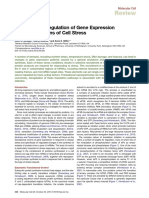 Review: Translational Regulation of Gene Expression During Conditions of Cell Stress