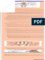 Resumen Irrigación Miembro Superior Locomotor Anatomía Medicina UBA Filadd