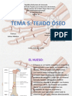 Diapositivas de Tejido Oseo