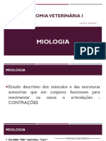 Anatomia Veterinária I - Miologia 2023-01