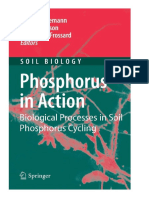 Phosphorus in Action