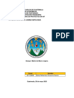 Ensayo Matriz de Marco Lógico