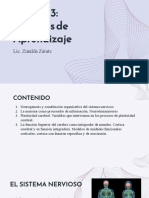 Presentación 3 Procesos de Aprendizaje