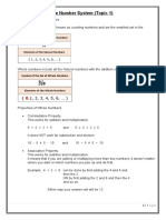 The Number System