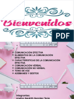 Comunicacion Efectiva 2