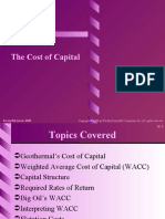 The Cost of Capital