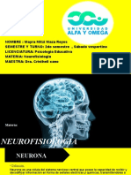 Expo Neurofisiologia