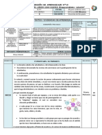 SESIÓN 13 - VALIDACION-bloque Problema, Solucion, AIDA