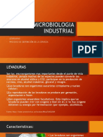 MICROBIOLOGIA INDUSTRIAL 2levaduras