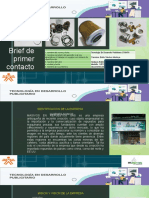 Documento de Campaña Publicitaria