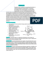 APENDICITIS