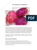 Clasificación Arancelaria de La Pitahaya