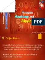 Lesson 3 Integumentary System