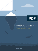 Pmbok Guide Underneath The Surface