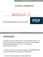 Modulo V - Analise de Riscos Na Egi