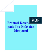 Promosi Kesehatan Pada Ibu Nifas Dan Menyusui