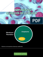 Componentes Químicos de La Célula. Agua y Minerales