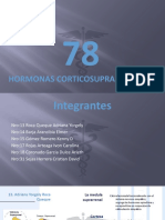 Hormonas Corticosuprarrenales 7