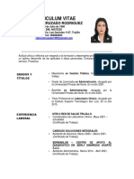 Curriculum Vitae 2