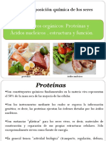 Tema 2 Proteinas y Acidos Nucleicos