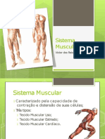 5 Sistema Muscular