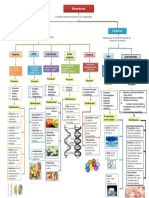 Mapa Conceptual de Biomoleculas 10