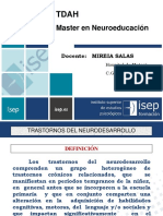 TDAH Intervencion Neuropsicologica en La Infancia