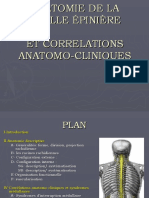 Anatomie de La Moelle Épinière Et Correlations Anatomo-Cliniques