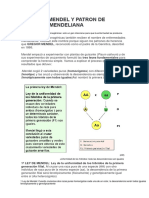 Leyes de Mendel (Biologia)