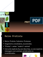 Protozoários