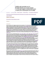 El Movimiento Del Tobillo Está Asociado Con El Desplazamiento Del Tejido Blando en El Muslo Dorsal