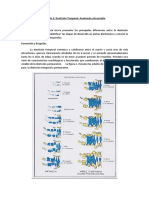 Apunte 1 Anatomia Dentaria