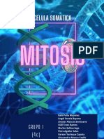 Células Somáticas y La Mitosis-1 PDF