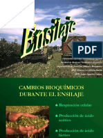 ENSILAJE